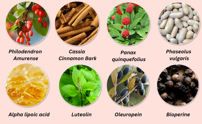 CarboFire Ingredients