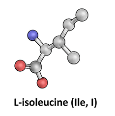 L-Isoleucine