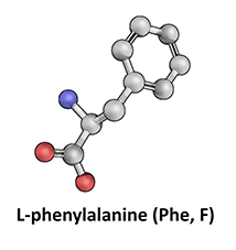 L-Phenylalanine