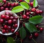 Red Tart Cherry Extract