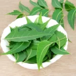 Neem 1
